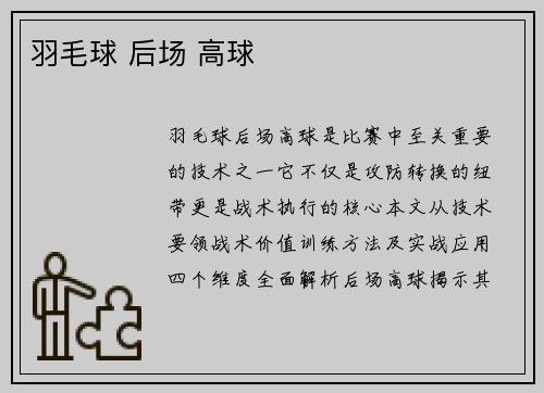 羽毛球 后场 高球