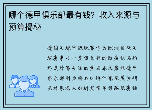 哪个德甲俱乐部最有钱？收入来源与预算揭秘
